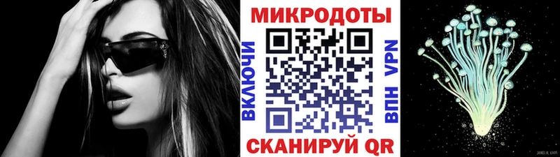 Псилоцибиновые грибы Cubensis  Людиново 